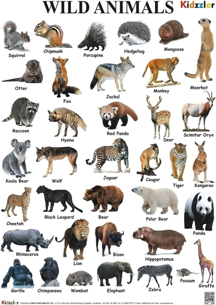 Wild Animals Chart by Dreamland Publication | ISBN :9789350550113 ...